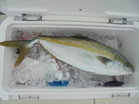 ＨＡＲＵＫＡ丸　はるかまる 釣果