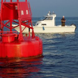 フィッシングボート空風(そらかぜ) 釣果