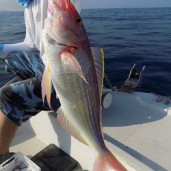 フィッシングボート空風(そらかぜ) 釣果