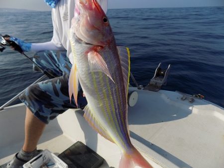 フィッシングボート空風（そらかぜ） 釣果