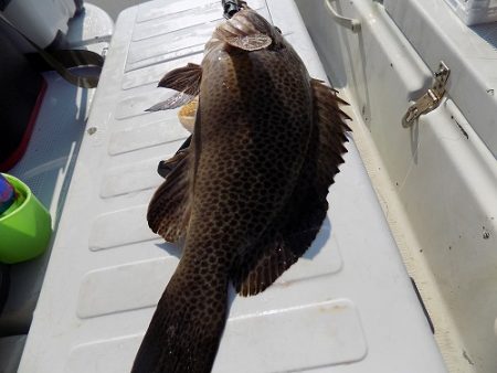 フィッシングボート空風(そらかぜ) 釣果