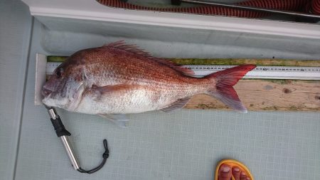 フィッシングボートACE（エース） 釣果