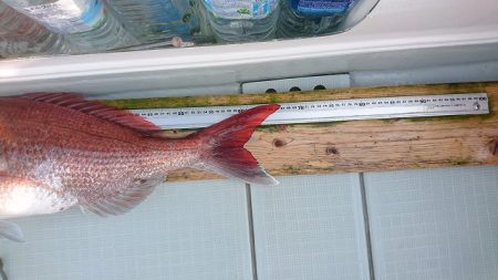 フィッシングボートACE（エース） 釣果