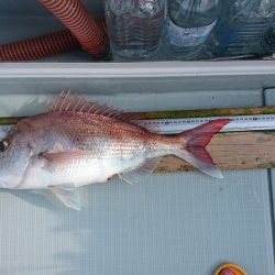 フィッシングボートACE（エース） 釣果