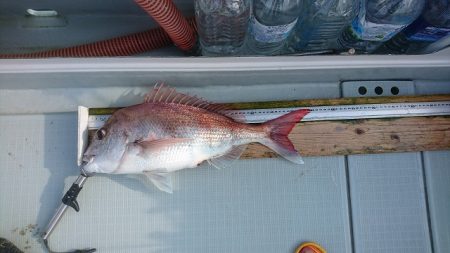 フィッシングボートACE（エース） 釣果