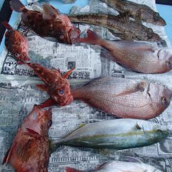 久六釣船 釣果