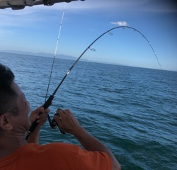 幸吉丸 釣果
