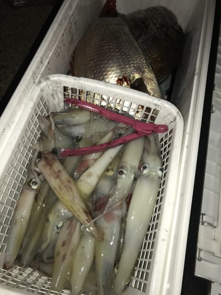 寿裕 （YOSHIHIRO） 釣果