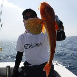 BlueNote Fishing Taxi 釣果