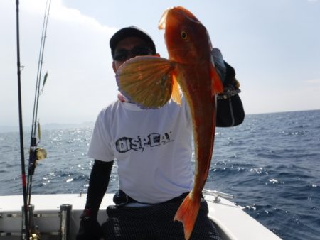 BlueNote Fishing Taxi 釣果