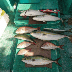 清和丸 釣果