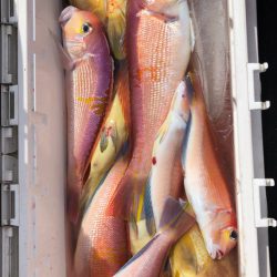 あみや渡船 JIGBOY 釣果