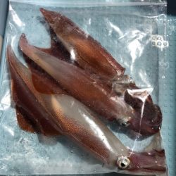 第二八坂丸 釣果