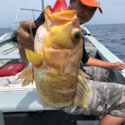 あみや渡船 JIGBOY 釣果