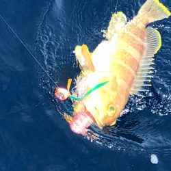 あみや渡船 JIGBOY 釣果