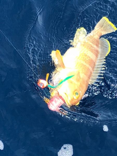 あみや渡船 JIGBOY 釣果