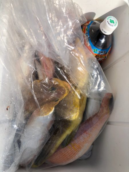 あみや渡船 JIGBOY 釣果