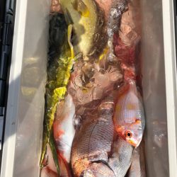 あみや渡船 JIGBOY 釣果