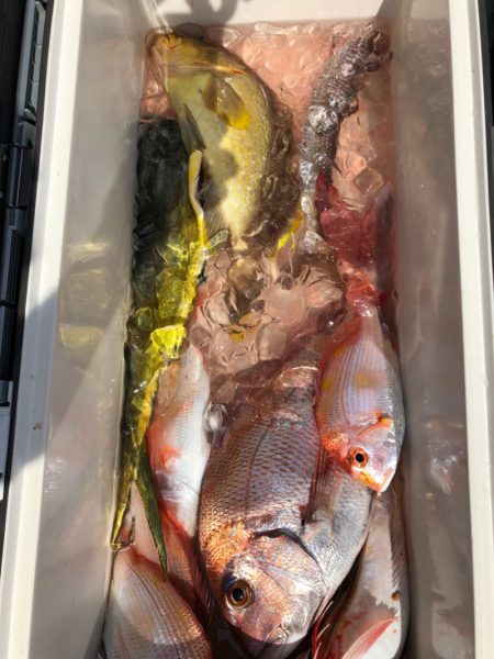 あみや渡船 JIGBOY 釣果