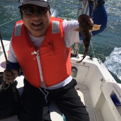うさぎ丸 釣果