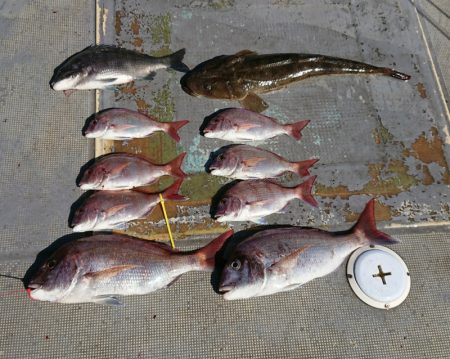 FISHING RISKY 釣果