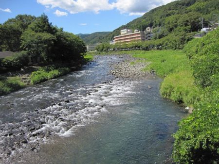 狩野川(狩野川漁業協同組合) 釣果