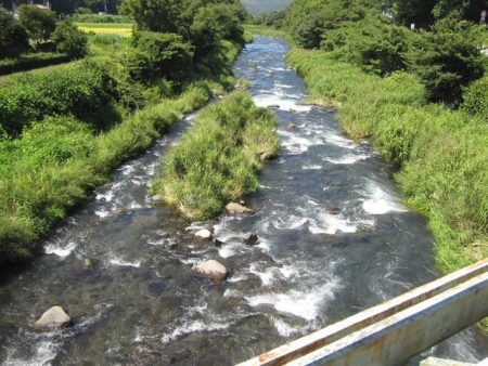 狩野川(狩野川漁業協同組合) 釣果
