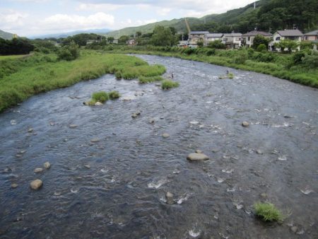 狩野川(狩野川漁業協同組合) 釣果