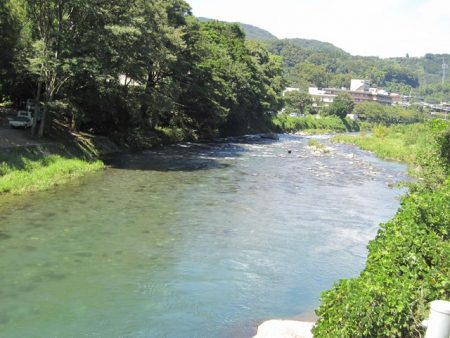 狩野川(狩野川漁業協同組合) 釣果