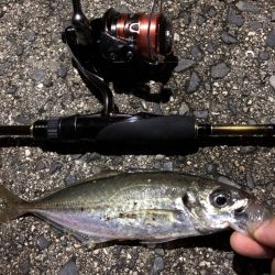 広島県　アジングで狙いの場所に先行者･･･そんな時は湾奥攻略！【カズ・ハシモト氏連載 vol.2】