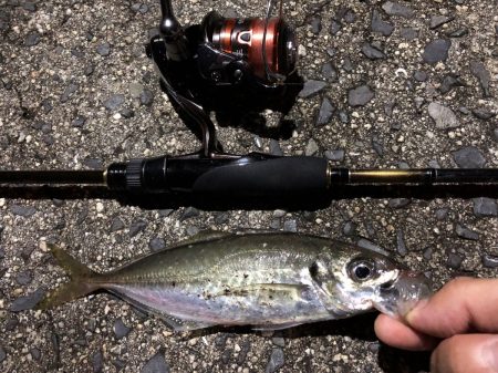 広島県　アジングで狙いの場所に先行者･･･そんな時は湾奥攻略！【カズ・ハシモト氏連載 vol.2】