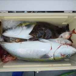 sea boss シーボス 釣果