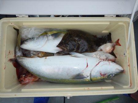 sea boss シーボス 釣果