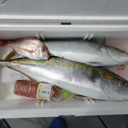 sea boss シーボス 釣果