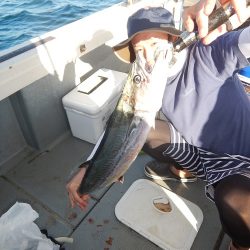 sea boss　シーボス 釣果