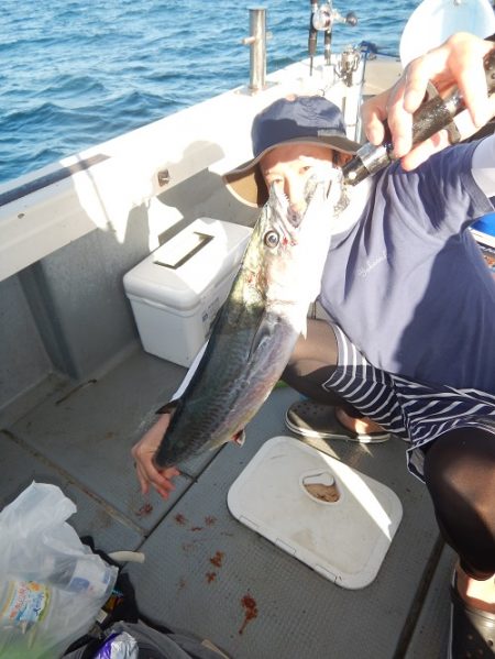 sea boss　シーボス 釣果