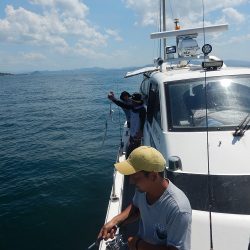 sea boss　シーボス 釣果