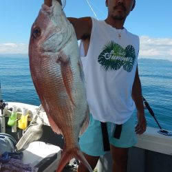 sea boss　シーボス 釣果