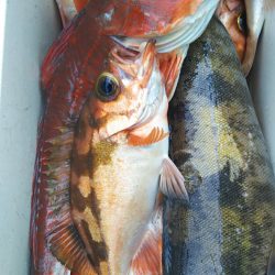 モンロー号 釣果