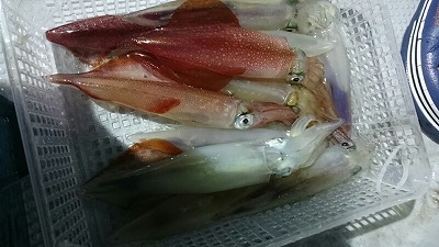 海龍丸(福岡) 釣果
