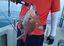 愛裕南丸 釣果