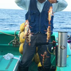 モンロー号 釣果