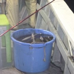 宝政丸 釣果