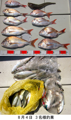 来温丸（らいおんまる） 釣果