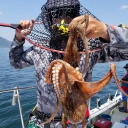 オーフリー 釣果