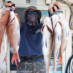 松本釣船２ 釣果