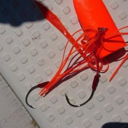 オーフリー 釣果