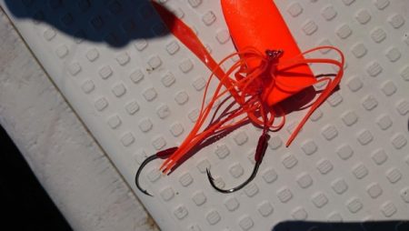 オーフリー 釣果