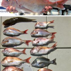 来温丸（らいおんまる） 釣果