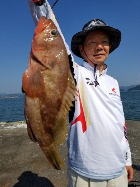 オーフリー 釣果